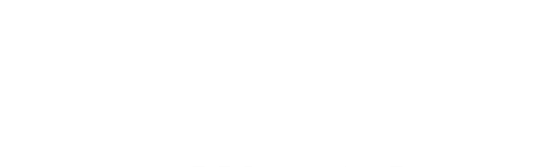 Plumm Logo